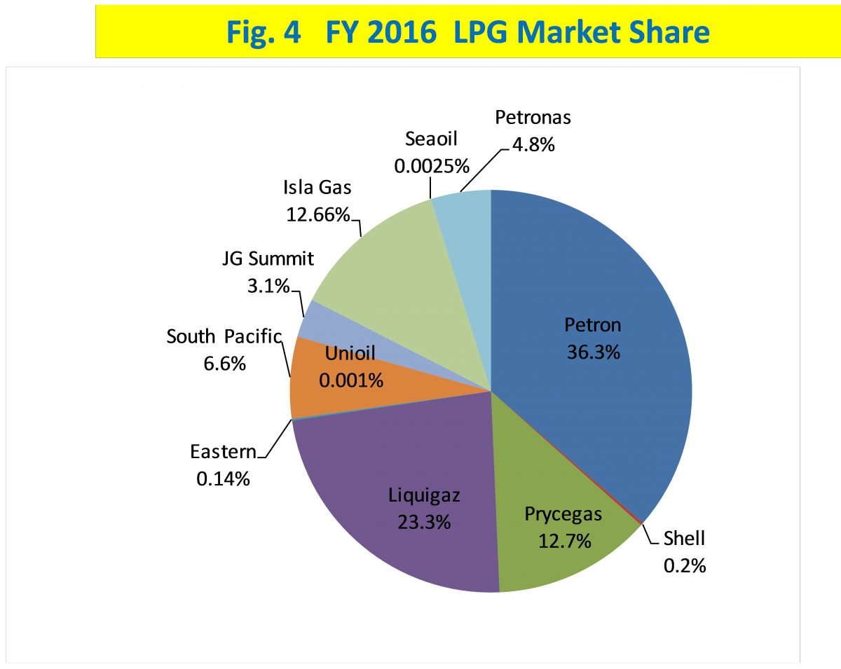 Figure 4 FY 2016 LPG Market Share