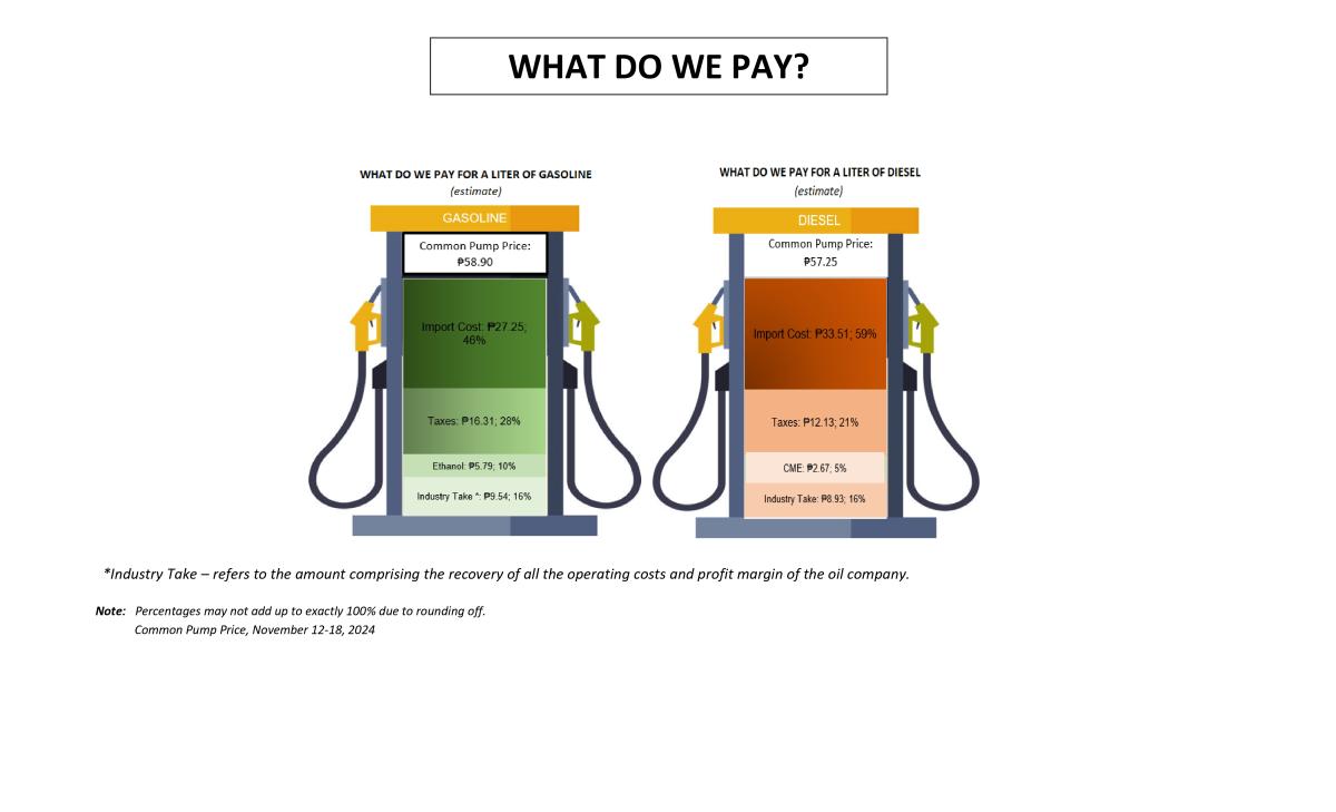 What Do We Pay for a Liter of Fuel