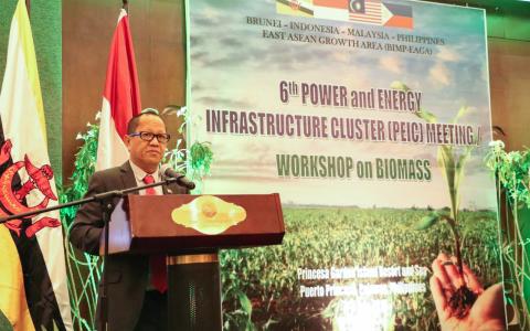 GO FOR BIOMASS: Energy Undersecretary Benito L. Ranque delivers Energy Sec. Alfonso G. Cusi’s message for the Capacity Building on Biomass Workshop, as part of the 6th Power and Energy Infrastructure Cluster meeting held in Palawan.
